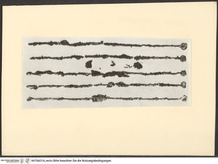 Vorderseite von bh766014_recto