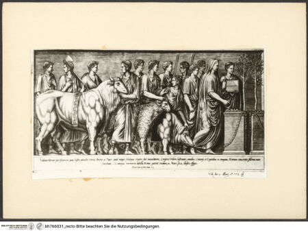 Vorderseite von bh766031_recto