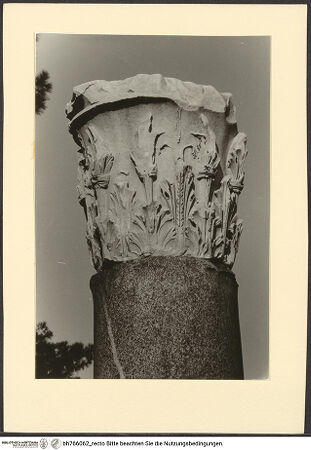 Vorderseite von bh766062_recto