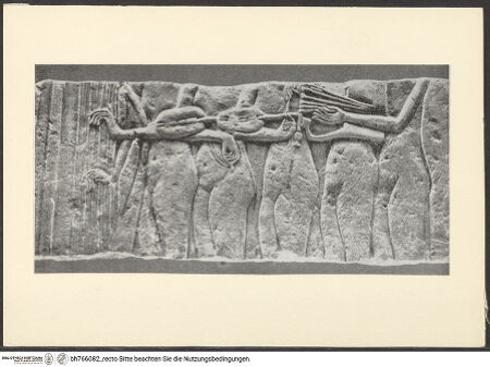 Vorderseite von bh766082_recto