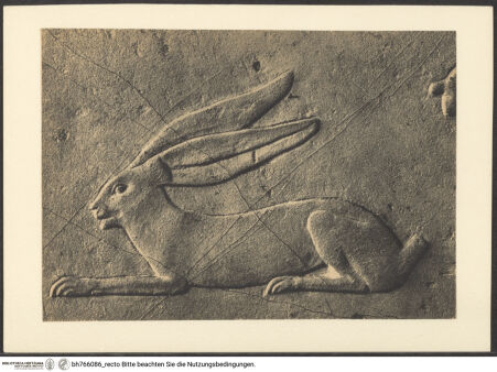 Vorderseite von bh766086_recto