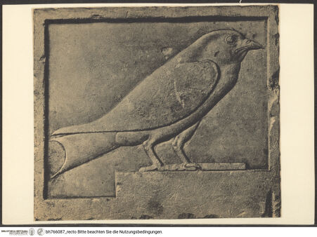 Vorderseite von bh766087_recto