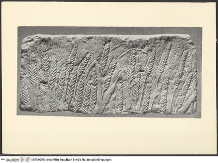 Vorderseite von bh766088_recto