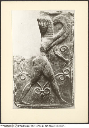 Vorderseite von bh766215_recto