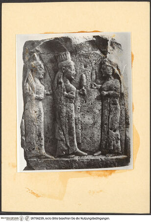 Vorderseite von bh766239_recto