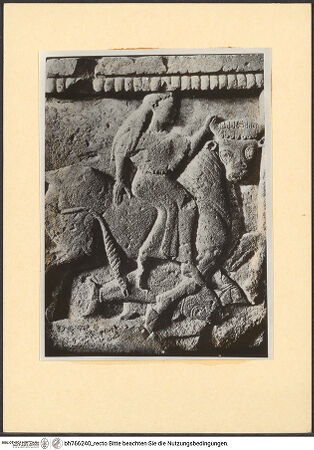 Vorderseite von bh766240_recto