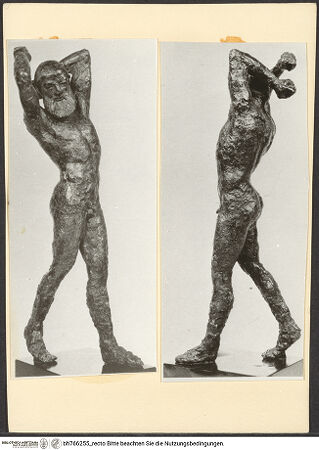 Vorderseite von bh766255_recto