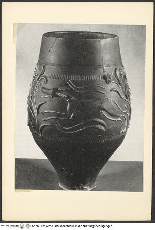 Vorderseite von bh766302_recto