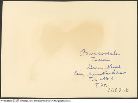 Rückseite von bh766958_recto