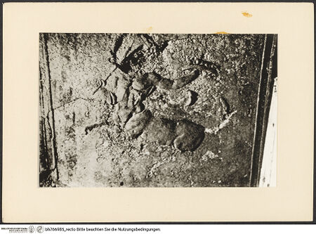 Vorderseite von bh766985_recto