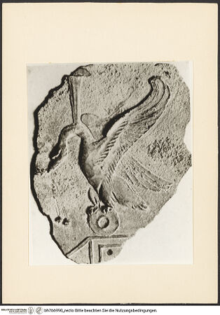 Vorderseite von bh766990_recto