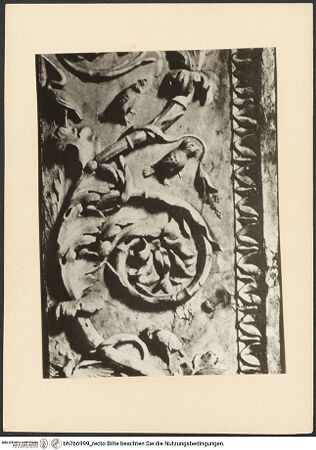 Vorderseite von bh766999_recto