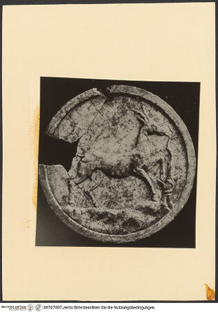 Vorderseite von bh767007_recto