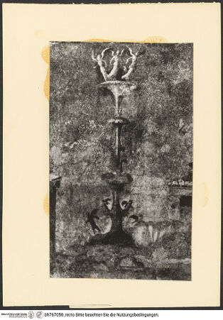 Vorderseite von bh767050_recto