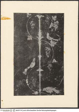 Vorderseite von bh767147_recto