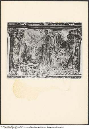 Vorderseite von bh767181_recto