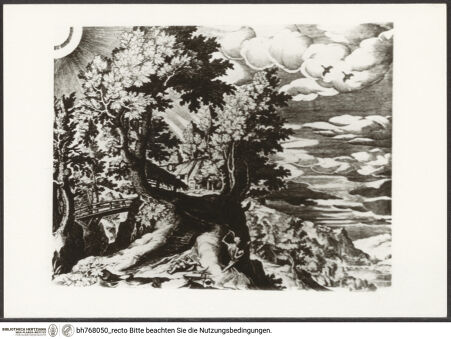 Vorderseite von bh768050_recto