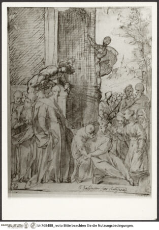 Vorderseite von bh768488_recto