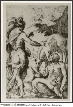 Vorderseite von bh769044_recto