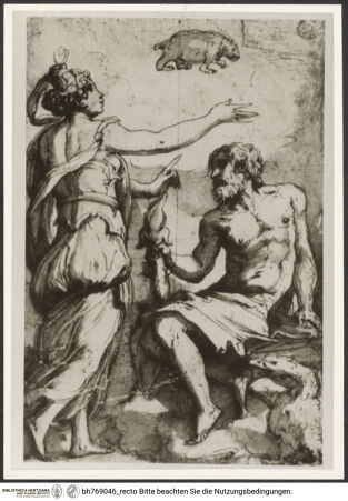 Vorderseite von bh769046_recto