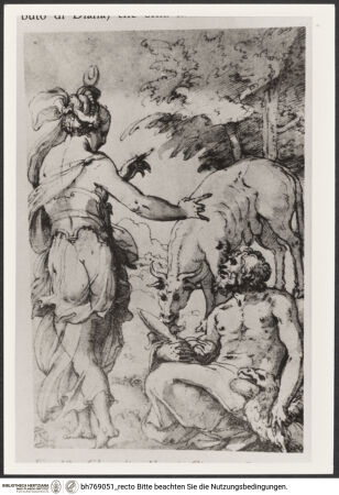 Vorderseite von bh769051_recto