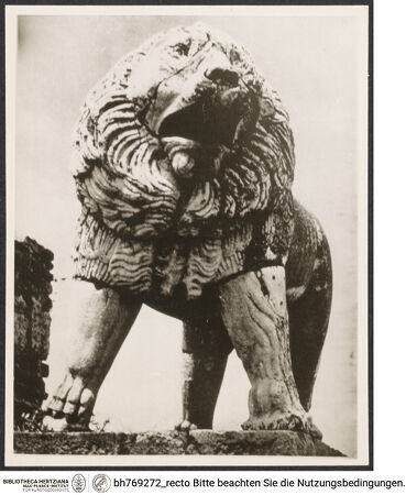 Vorderseite von bh769272_recto