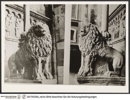 Vorderseite von bh769366_recto