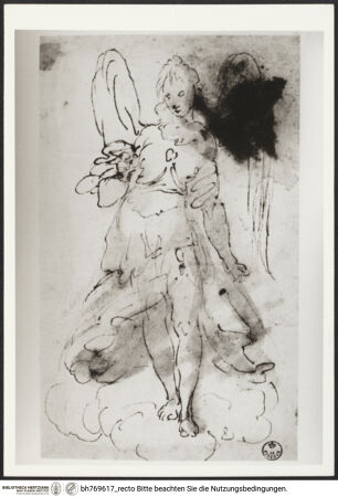 Vorderseite von bh769617_recto