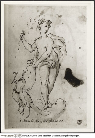 Vorderseite von bh769626_recto