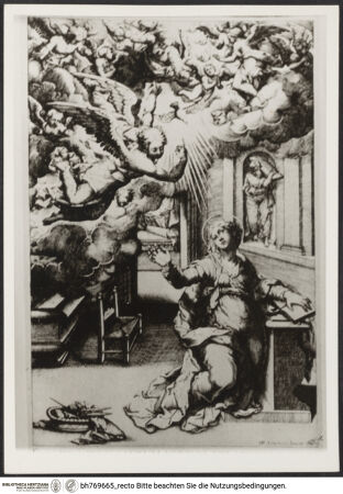 Vorderseite von bh769665_recto