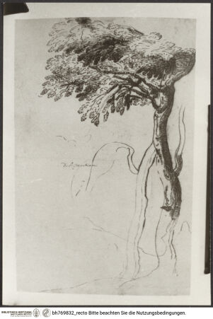 Vorderseite von bh769832_recto