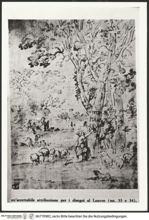 Vorderseite von bh770982_recto