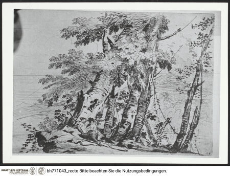 Vorderseite von bh771043_recto