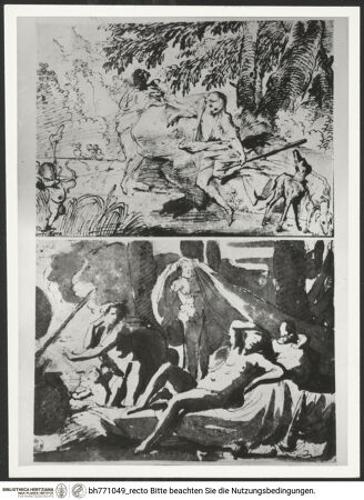 Vorderseite von bh771049_recto