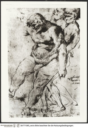 Vorderseite von bh771085_recto