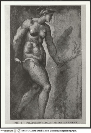 Vorderseite von bh771135_recto