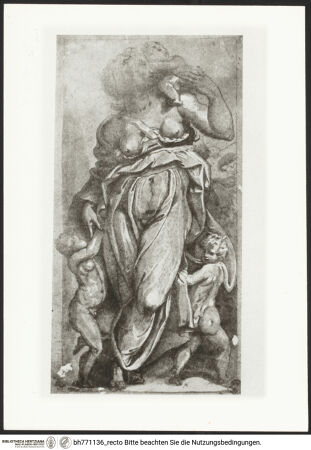 Vorderseite von bh771136_recto