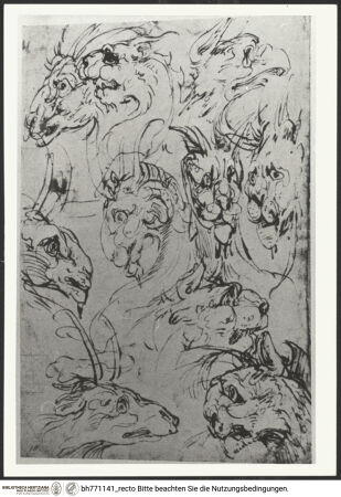 Vorderseite von bh771141_recto