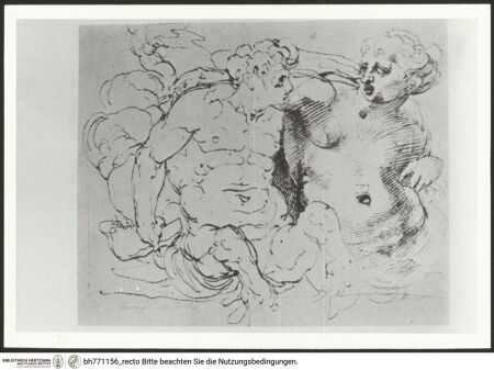 Vorderseite von bh771156_recto