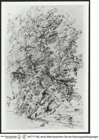 Vorderseite von bh771168_recto