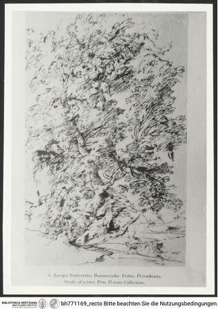 Vorderseite von bh771169_recto