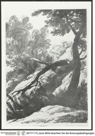 Vorderseite von bh771172_recto