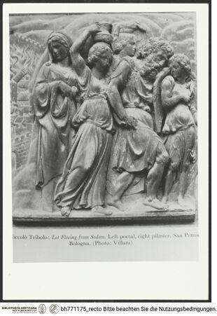 Vorderseite von bh771175_recto