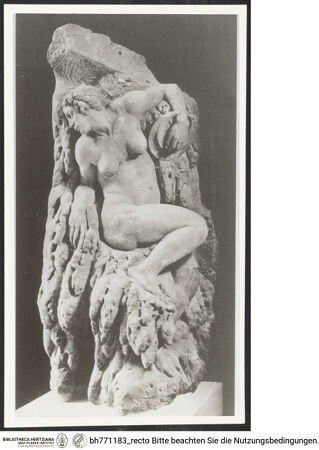 Vorderseite von bh771183_recto