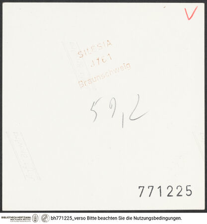 Rückseite von bh771225_recto