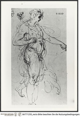 Vorderseite von bh771255_recto