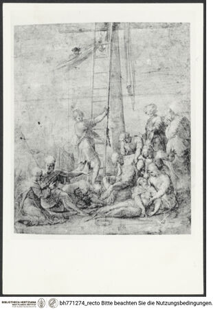 Vorderseite von bh771274_recto