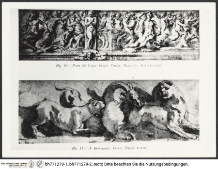 Vorderseite von bh771279-1_bh771279-2_recto