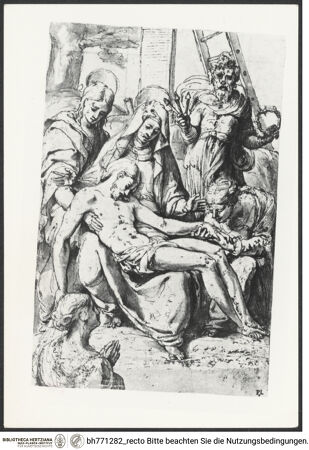 Vorderseite von bh771282_recto