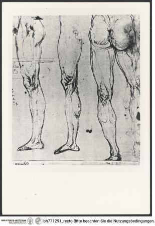 Vorderseite von bh771291_recto